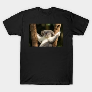 Koala Relaxing In The Sun T-Shirt